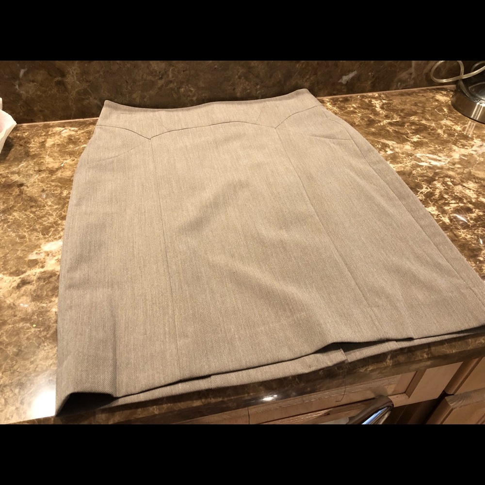 NWT-The Limited Skirt - Picture 2 of 5